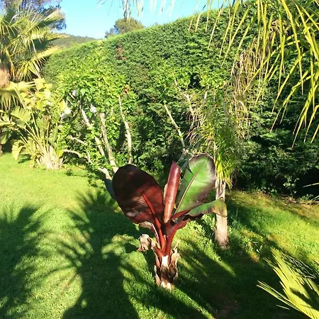 Avec Piscine Privée à *