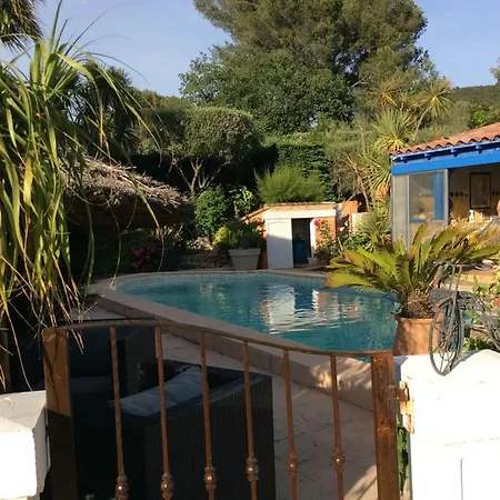 Avec Piscine Privée à Carqueiranne