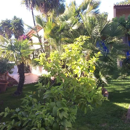Avec Piscine Privée à * Carqueiranne